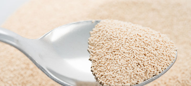 Полезно знать всем! Дрожжи - опасное биологическое оружие - Возрождение ...